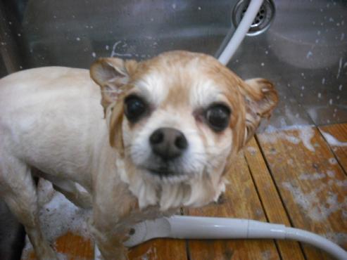 ファイル 72-2.jpg