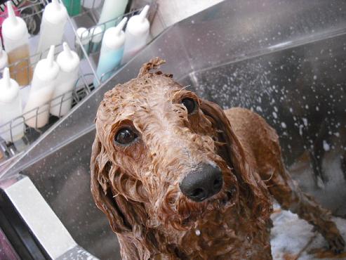 ファイル 720-2.jpg