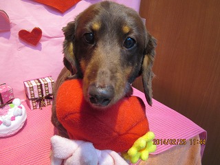 ファイル 7200-1.jpg