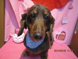 ファイル 7200-2.jpg