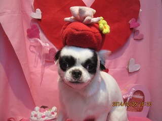 ファイル 7201-1.jpg