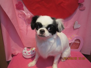 ファイル 7201-2.jpg