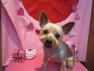 ファイル 7202-2.jpg