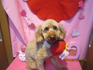 ファイル 7203-1.jpg