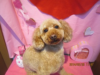 ファイル 7203-2.jpg