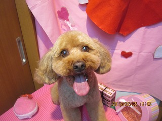 ファイル 7204-1.jpg