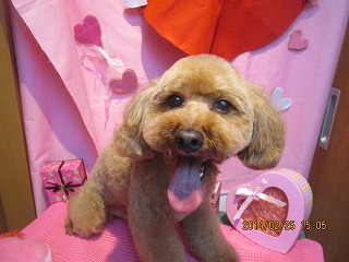 ファイル 7204-2.jpg