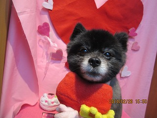 ファイル 7205-1.jpg