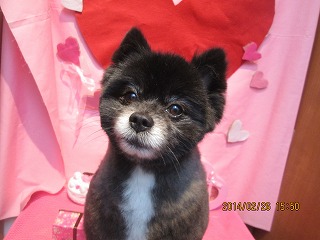 ファイル 7205-2.jpg