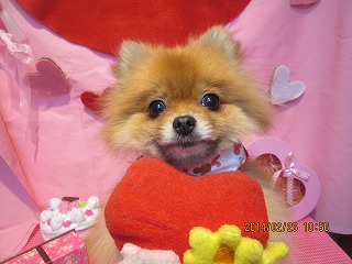 ファイル 7207-1.jpg