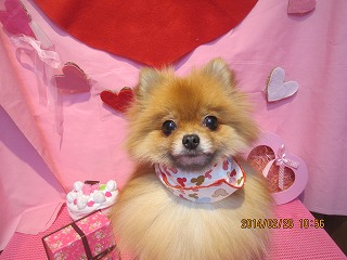 ファイル 7207-2.jpg