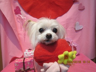 ファイル 7208-1.jpg