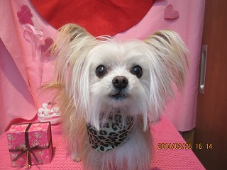 ファイル 7208-2.jpg