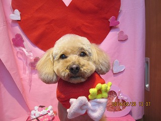 ファイル 7209-1.jpg