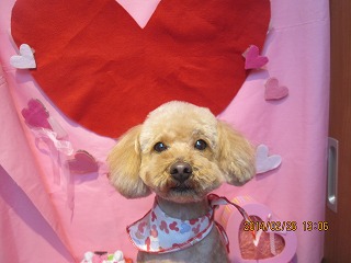 ファイル 7209-2.jpg