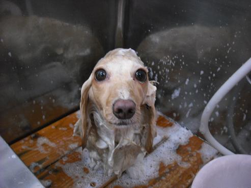 ファイル 721-2.jpg