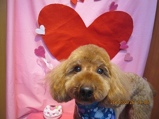 ファイル 7210-2.jpg