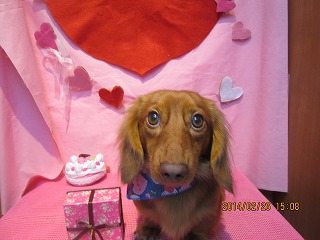 ファイル 7211-2.jpg