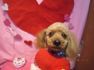 ファイル 7212-1.jpg