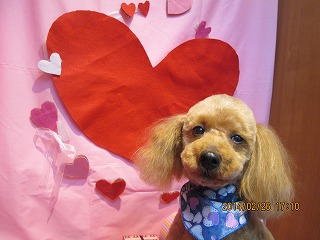 ファイル 7212-2.jpg