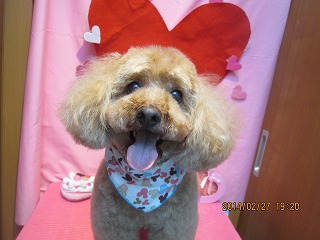 ファイル 7213-2.jpg