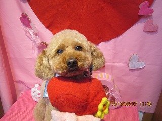 ファイル 7214-1.jpg