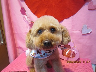 ファイル 7214-2.jpg