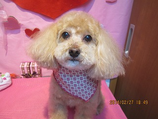 ファイル 7215-2.jpg