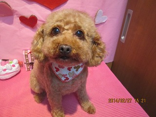 ファイル 7216-2.jpg