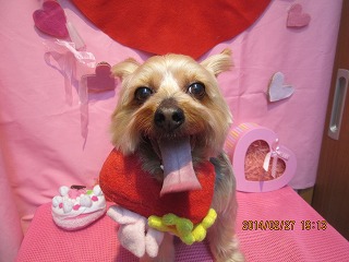 ファイル 7217-1.jpg