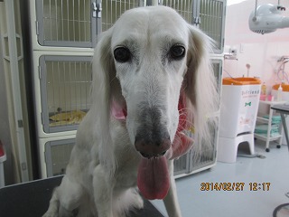 ファイル 7218-1.jpg