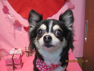 ファイル 7219-2.jpg