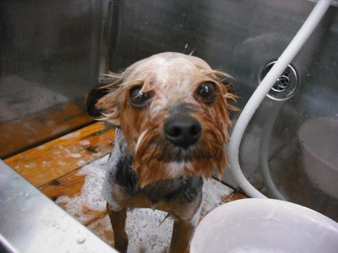 ファイル 722-2.jpg