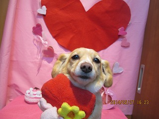 ファイル 7222-1.jpg