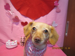 ファイル 7223-2.jpg