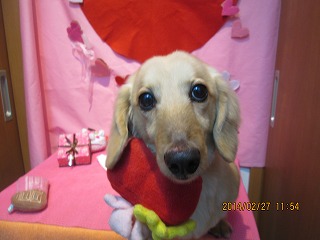 ファイル 7224-1.jpg