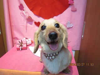 ファイル 7224-2.jpg