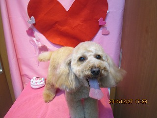 ファイル 7225-1.jpg