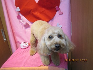 ファイル 7225-2.jpg