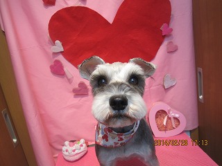 ファイル 7226-2.jpg