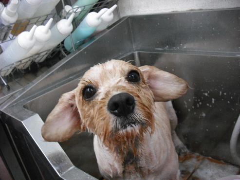 ファイル 723-2.jpg