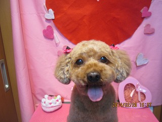 ファイル 7231-2.jpg