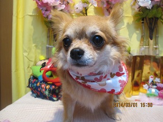 ファイル 7233-2.jpg