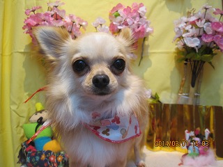 ファイル 7235-2.jpg