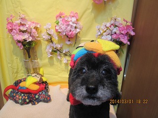 ファイル 7236-1.jpg