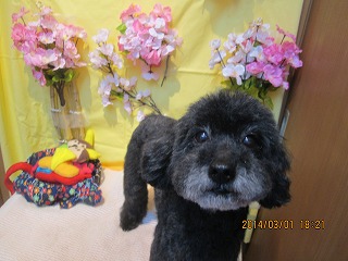 ファイル 7236-2.jpg