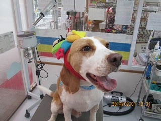 ファイル 7237-2.jpg