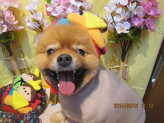 ファイル 7238-1.jpg