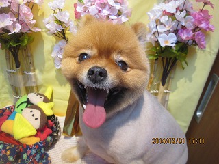 ファイル 7238-2.jpg