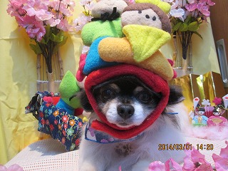 ファイル 7239-1.jpg